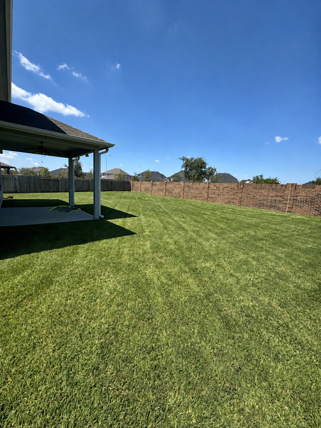 Freshly maintained residential backyard lawn